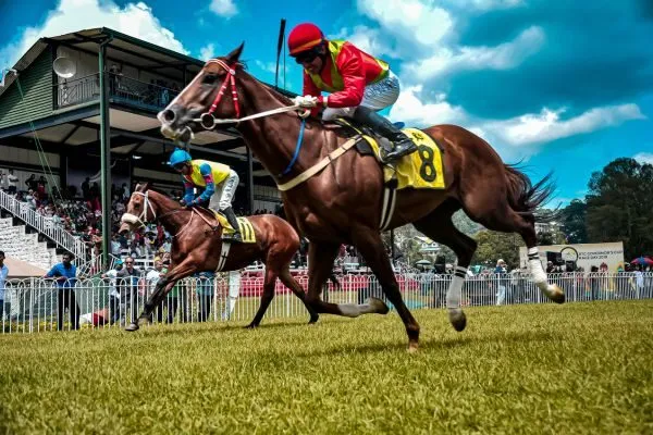 Cá Cược Đua Ngựa Trực Tuyến Với Nhiều Kèo Hấp Dẫn V9bet 3 Đua Ngựa Trực Tuyến