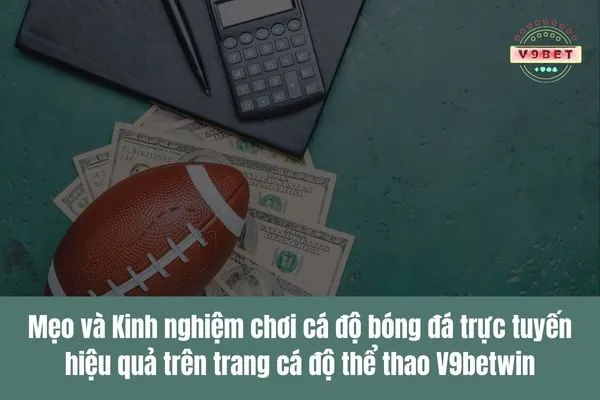 Truy cập web cá độ bóng đá để đặt cược và theo dõi các trận đấu hấp dẫn 4 web cá độ bóng đá